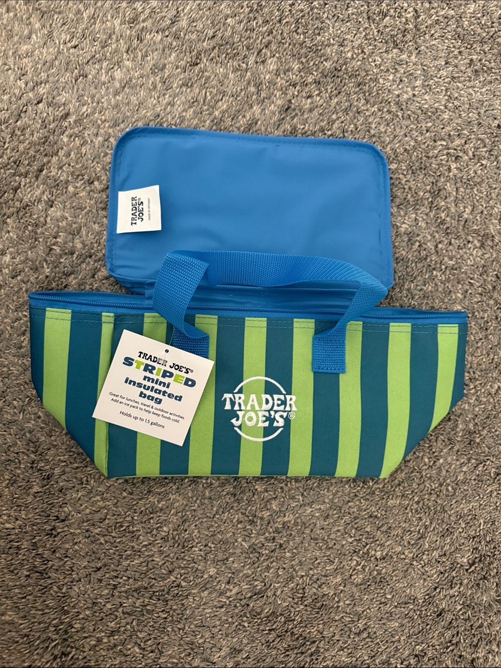Trader Joe's Striped Insulated Lunch Bag - Green & Blue